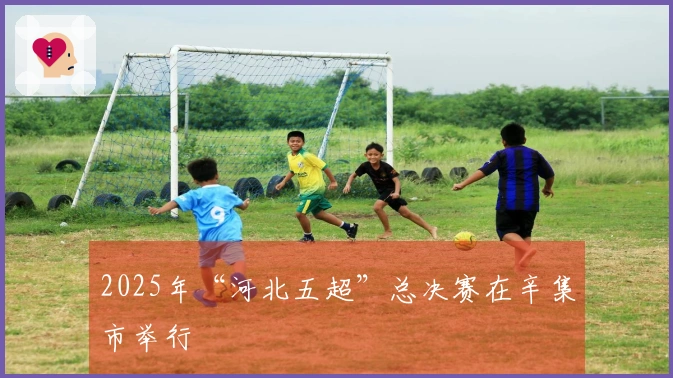 2025年“河北五超”总决赛在辛集市举行